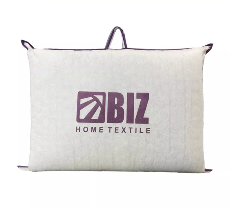 تشک سفری طبی مهمان بیز