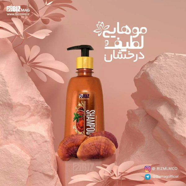 خرید آنلاین حاوی عصاره گانودرما BIZ مخصوص موهای خشک