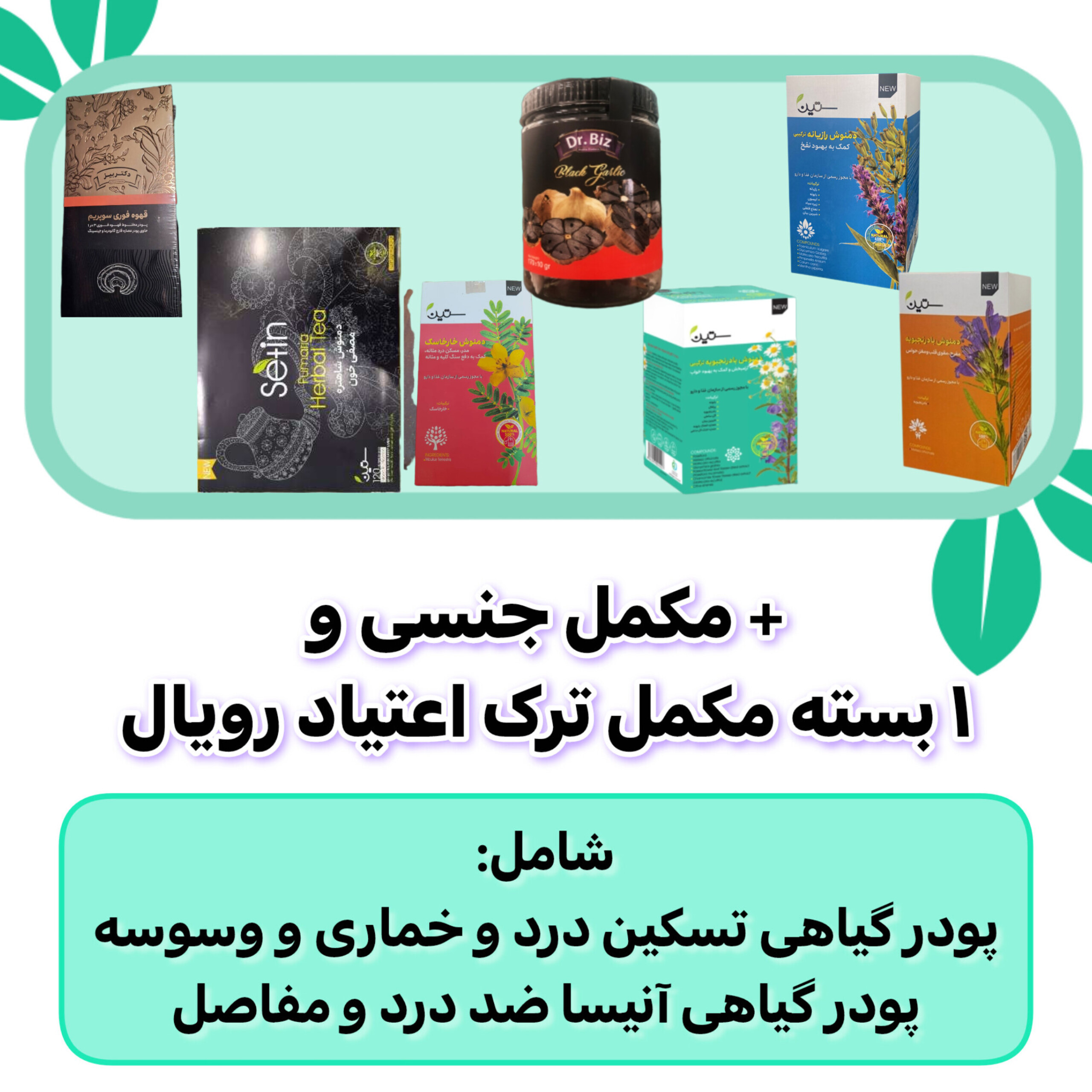 پک مکمل گیاهی ترک اعتیاد ویژه ۶۰ روزه رویال و پک مشکلات آقایان