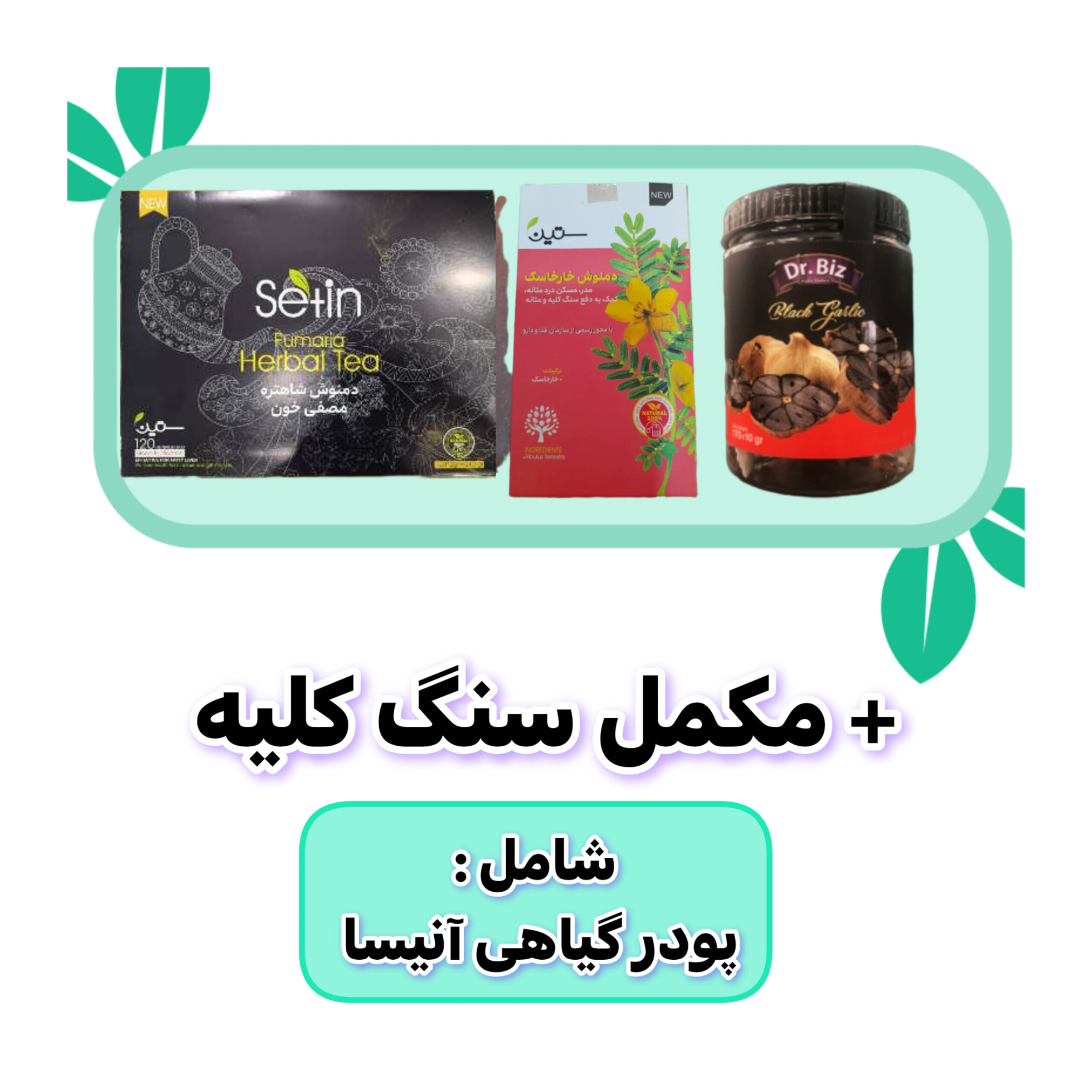 پکیج رفع سنگ کلیه گیاهی