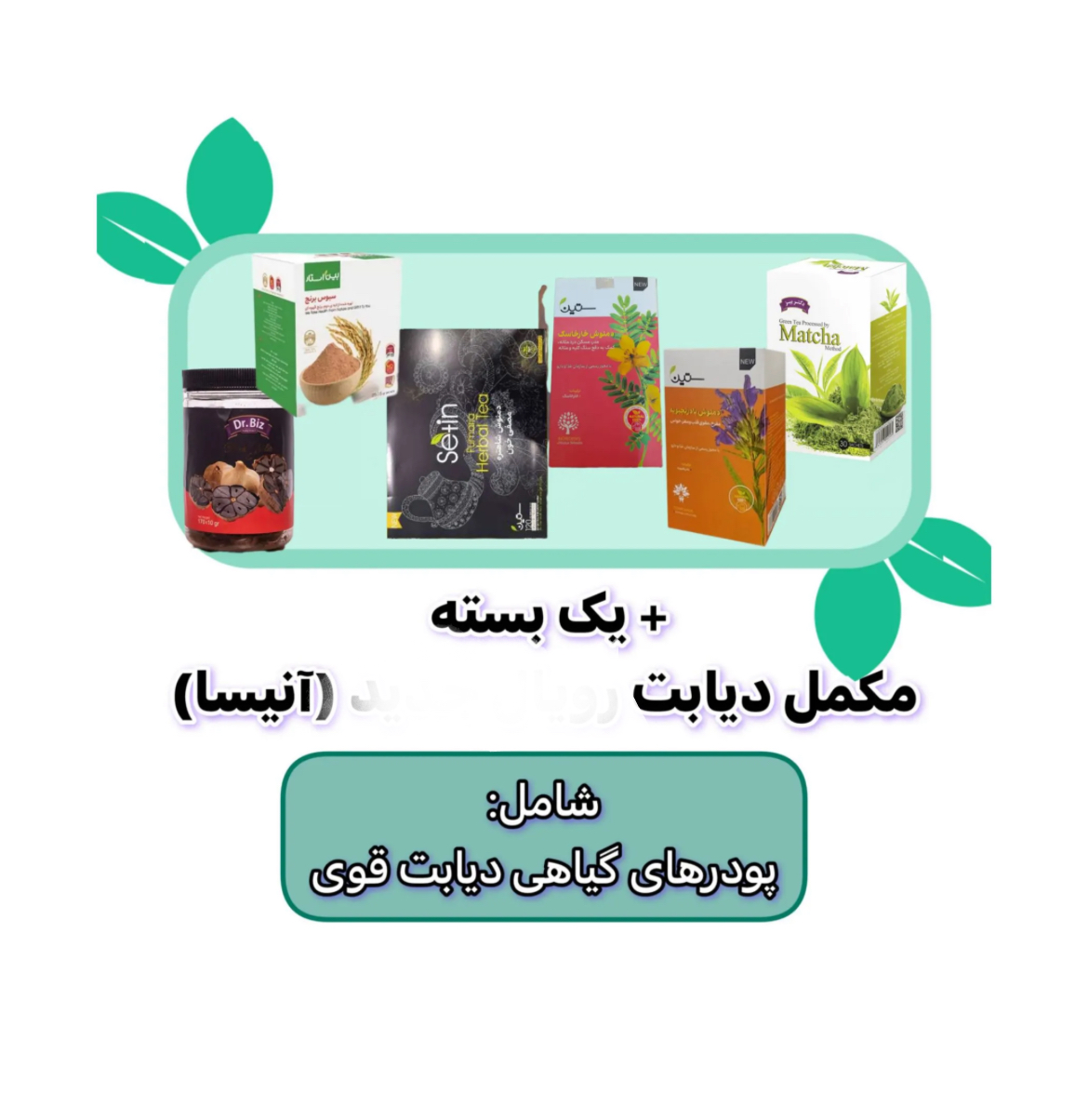 ترکیب مکمل گیاهی دیابت (آنیسا)2 ماهه
